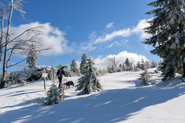 Winterwandern Zellertal Bayern